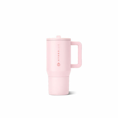 Traveler 20oz